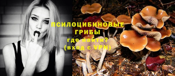 эйфоретик Абаза