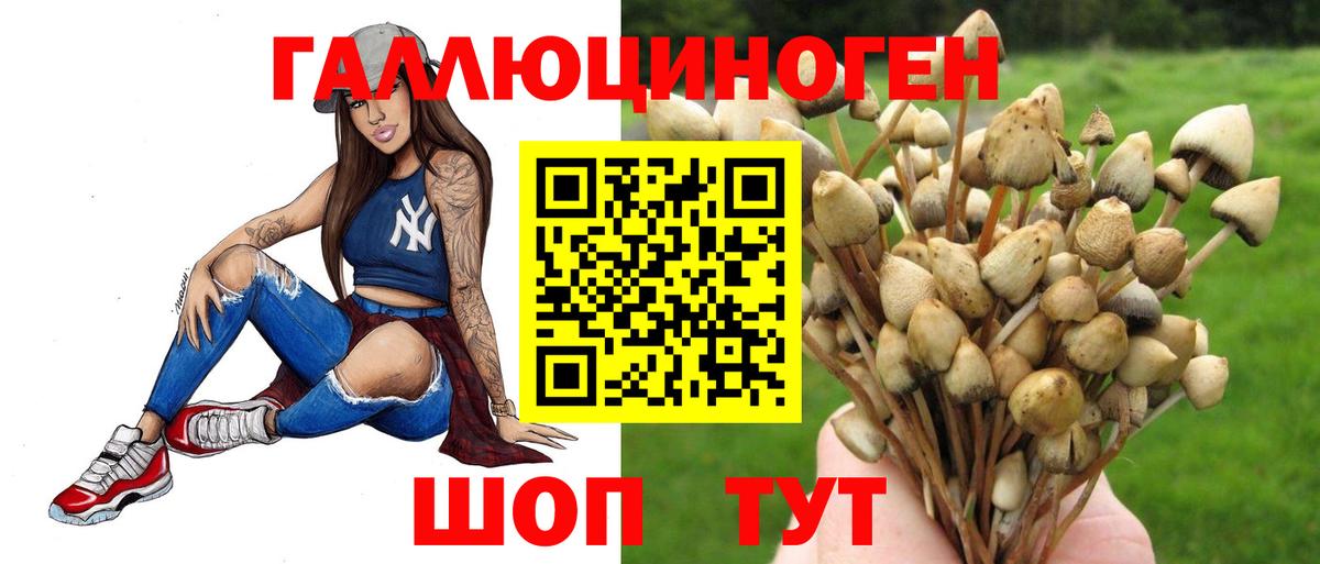 купить наркотики цена  Вход с VPN  Рязань  Галлюциногенные грибы MAGIC MUSHROOMS 