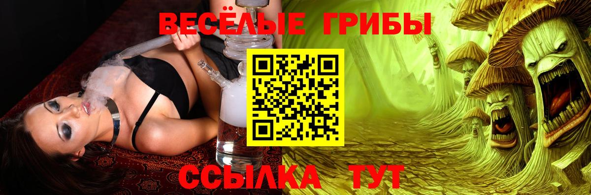 Галлюциногенные грибы Psilocybe  Рязань  Псилоцибиновые грибы мицелий 